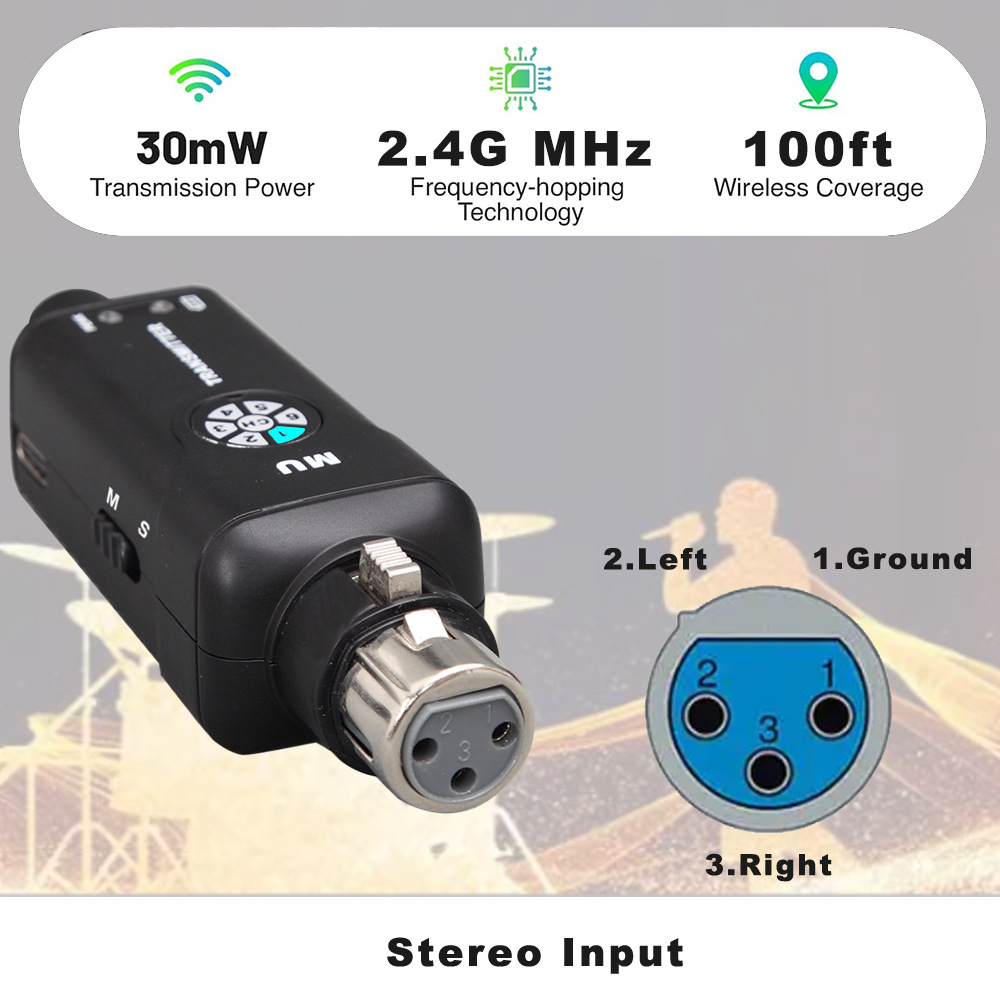 2.4G Bezprzewodowy system moni – In Ear Monitor Iem recenzja i cena